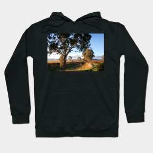 Barossa Valley Autumn Sunshine Hoodie